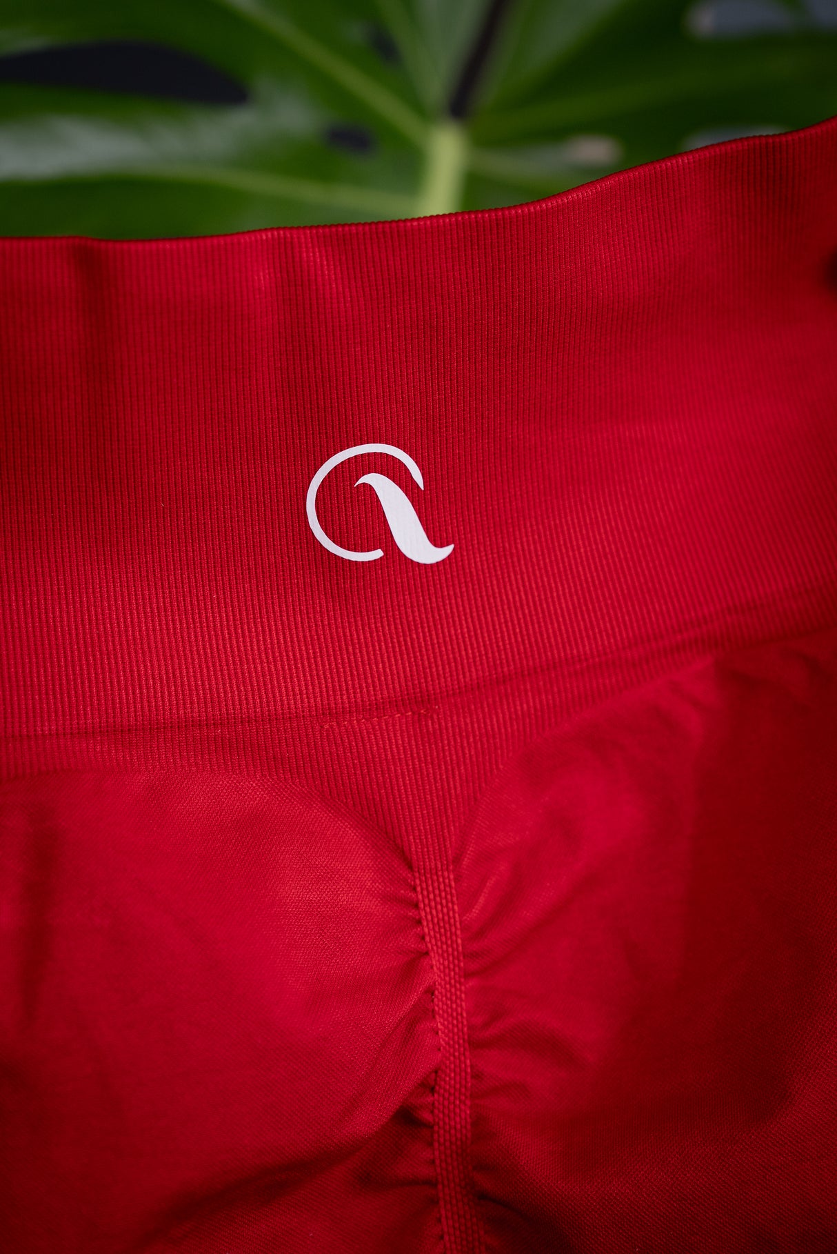 Amber Set: Adjustable Sports Bra & Scrunch Bum Shorts